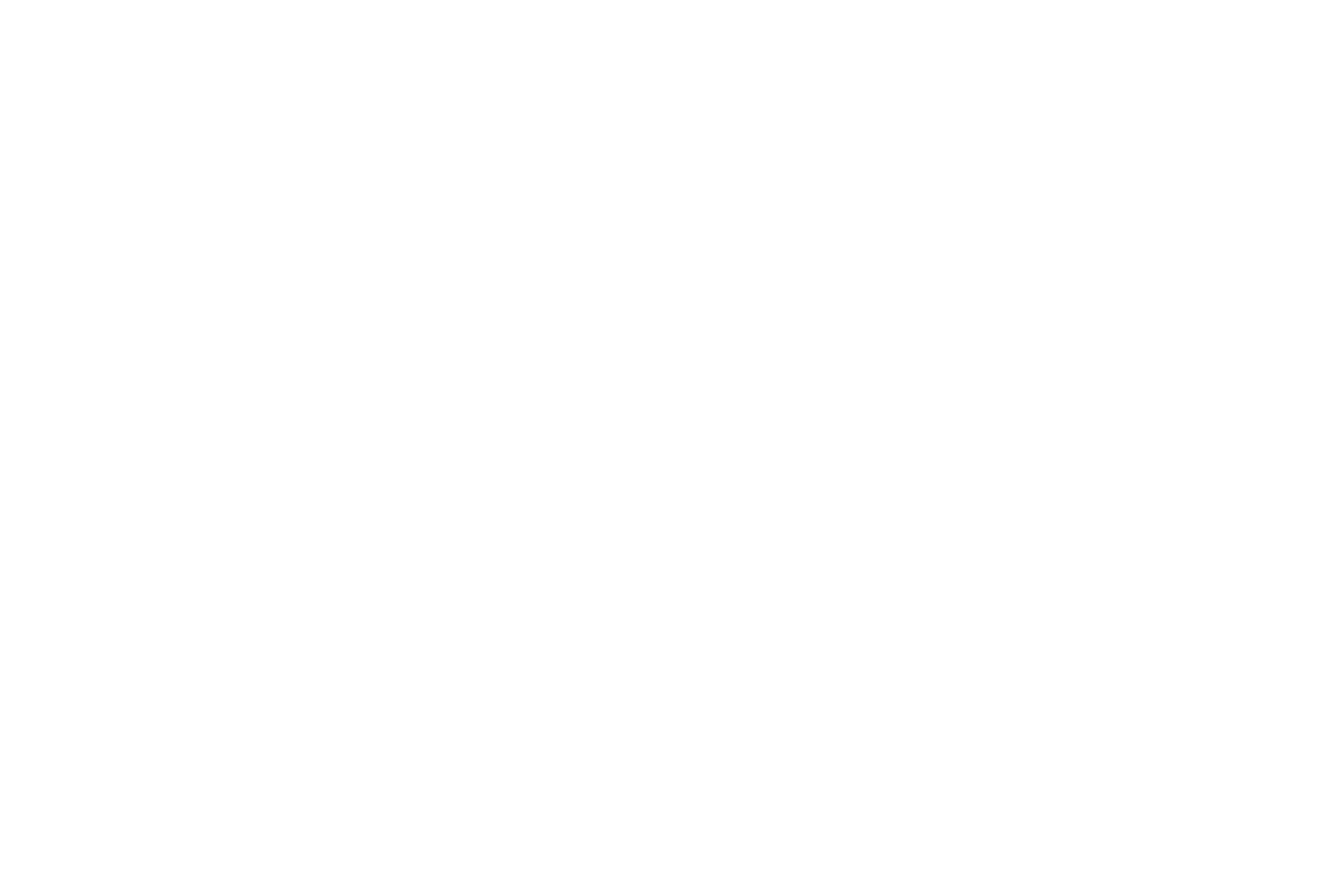 ZAYSHA 